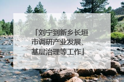 刘宁到新乡长垣市调研产业发展、基层治理等工作
