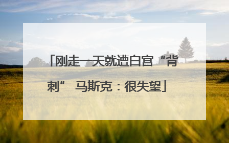 刚走一天就遭白宫“背刺” 马斯克：很失望