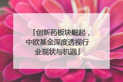 创新药板块崛起，中欧基金深度透视行业现状与机遇