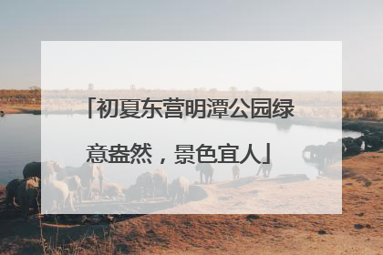 初夏东营明潭公园绿意盎然，景色宜人