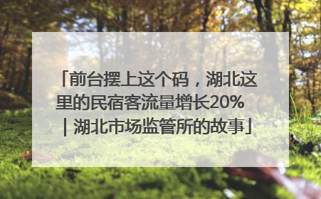 前台摆上这个码，湖北这里的民宿客流量增长20%｜湖北市场监管所的故事