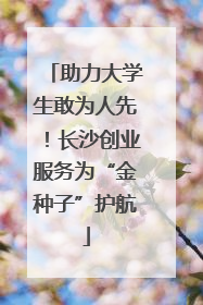 助力大学生敢为人先！长沙创业服务为“金种子”护航