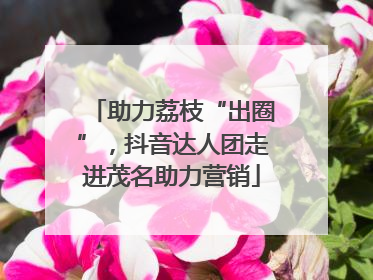 助力荔枝“出圈”，抖音达人团走进茂名助力营销
