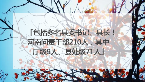 包括多名县委书记、县长！河南问责干部210人，其中厅级9人、县处级71人