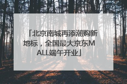 北京南城再添潮购新地标，全国最大京东MALL端午开业