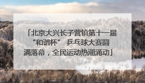 北京大兴长子营镇第十一届 “和谐杯” 乒乓球大赛圆满落幕，全民运动热潮涌动