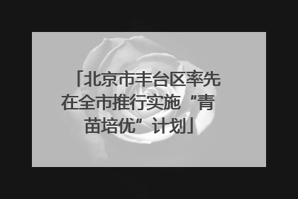 北京市丰台区率先在全市推行实施“青苗培优”计划