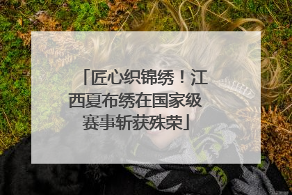 匠心织锦绣！江西夏布绣在国家级赛事斩获殊荣