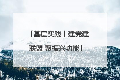 基层实践丨建党建联盟 聚振兴功能
