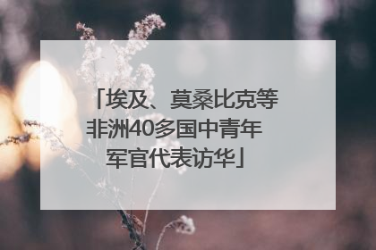 埃及、莫桑比克等非洲40多国中青年军官代表访华