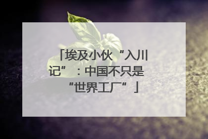 埃及小伙“入川记”：中国不只是“世界工厂”