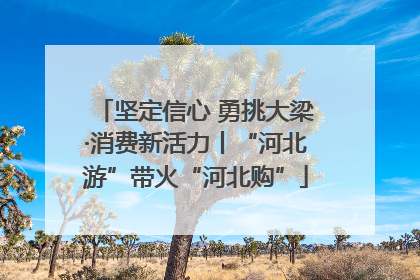坚定信心 勇挑大梁·消费新活力丨“河北游”带火“河北购”