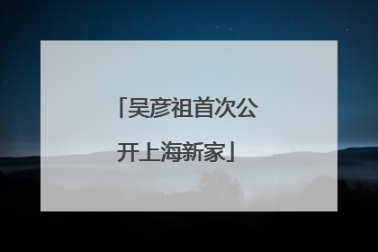 吴彦祖首次公开上海新家