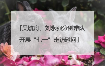 吴毓舟、刘永强分别带队开展“七一”走访慰问