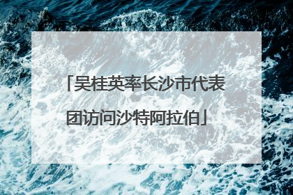 吴桂英率长沙市代表团访问沙特阿拉伯