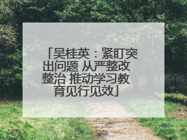 吴桂英：紧盯突出问题 从严整改整治 推动学习教育见行见效