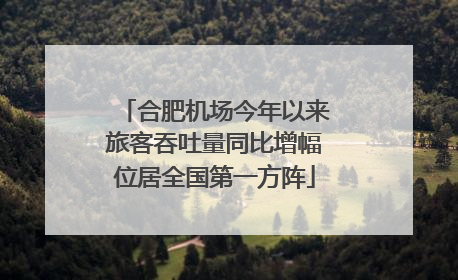 合肥机场今年以来旅客吞吐量同比增幅位居全国第一方阵
