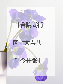 合院式街区“大吉巷”今开张
