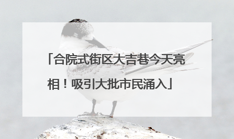 合院式街区大吉巷今天亮相！吸引大批市民涌入