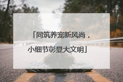 同筑养宠新风尚，小细节彰显大文明