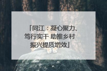 同江：凝心聚力、笃行实干 助推乡村振兴提质增效