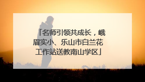 名师引领共成长，峨眉实小、乐山市白兰花工作站送教南山学区