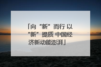 向“新”而行 以“新”提质 中国经济新动能澎湃