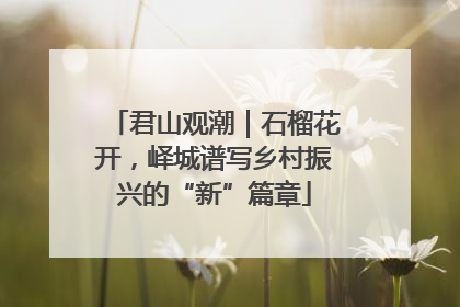 君山观潮｜石榴花开，峄城谱写乡村振兴的“新”篇章
