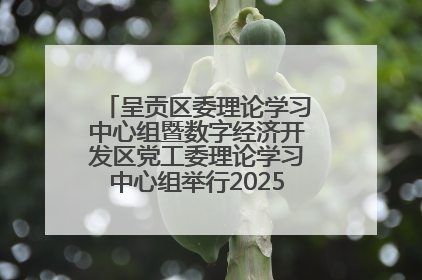 呈贡区委理论学习中心组暨数字经济开发区党工委理论学习中心组举行2025年第七次学习会议