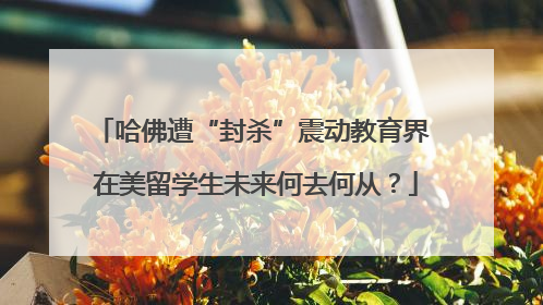 哈佛遭“封杀”震动教育界 在美留学生未来何去何从？