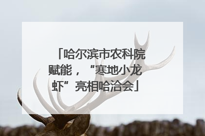 哈尔滨市农科院赋能，“寒地小龙虾”亮相哈洽会