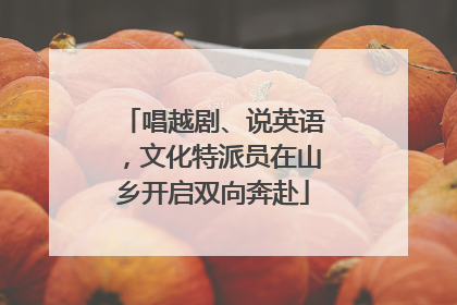 唱越剧、说英语，文化特派员在山乡开启双向奔赴