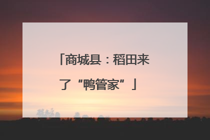 商城县：稻田来了“鸭管家”