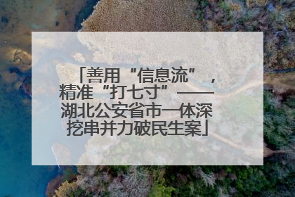 善用“信息流”，精准“打七寸”——湖北公安省市一体深挖串并力破民生案
