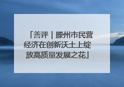 善评｜滕州市民营经济在创新沃土上绽放高质量发展之花