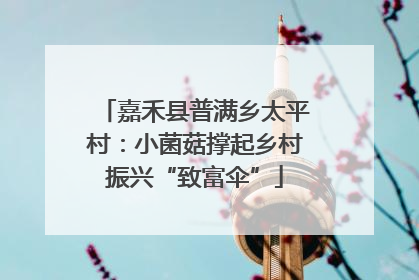 嘉禾县普满乡太平村：小菌菇撑起乡村振兴“致富伞”