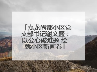 嘉龙尚都小区党支部书记谢文盛：以公心破难题 绘就小区新画卷