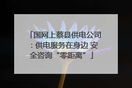 国网上蔡县供电公司：供电服务在身边 安全咨询“零距离”