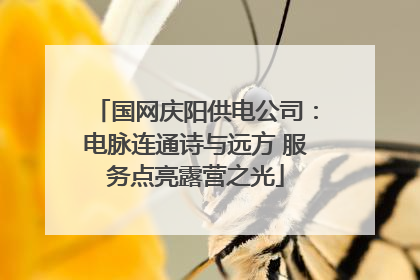 国网庆阳供电公司：电脉连通诗与远方 服务点亮露营之光
