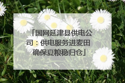 国网延津县供电公司：供电服务进麦田 确保夏粮稳归仓