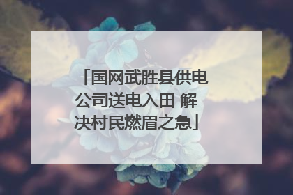 国网武胜县供电公司送电入田 解决村民燃眉之急