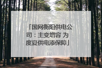 国网衡阳供电公司：主变增容 为度夏供电添保障