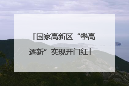 国家高新区“攀高逐新”实现开门红