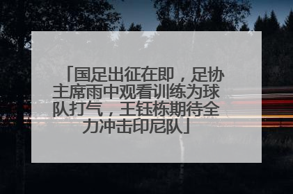 国足出征在即，足协主席雨中观看训练为球队打气，王钰栋期待全力冲击印尼队