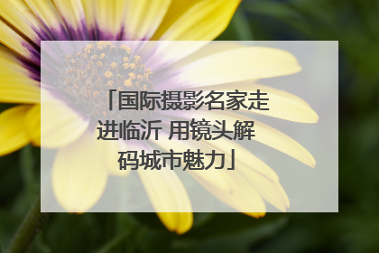 国际摄影名家走进临沂 用镜头解码城市魅力