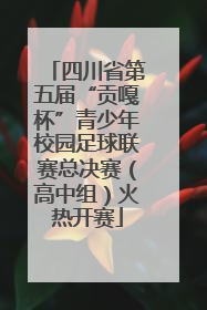 四川省第五届“贡嘎杯”青少年校园足球联赛总决赛（高中组）火热开赛