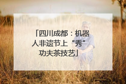 四川成都：机器人非遗节上“秀”功夫茶技艺