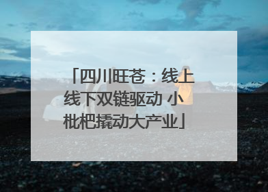 四川旺苍：线上线下双链驱动 小枇杷撬动大产业