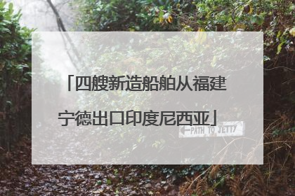 四艘新造船舶从福建宁德出口印度尼西亚
