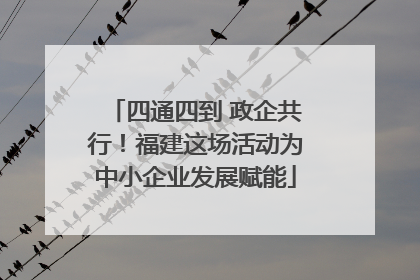 四通四到 政企共行！福建这场活动为中小企业发展赋能
